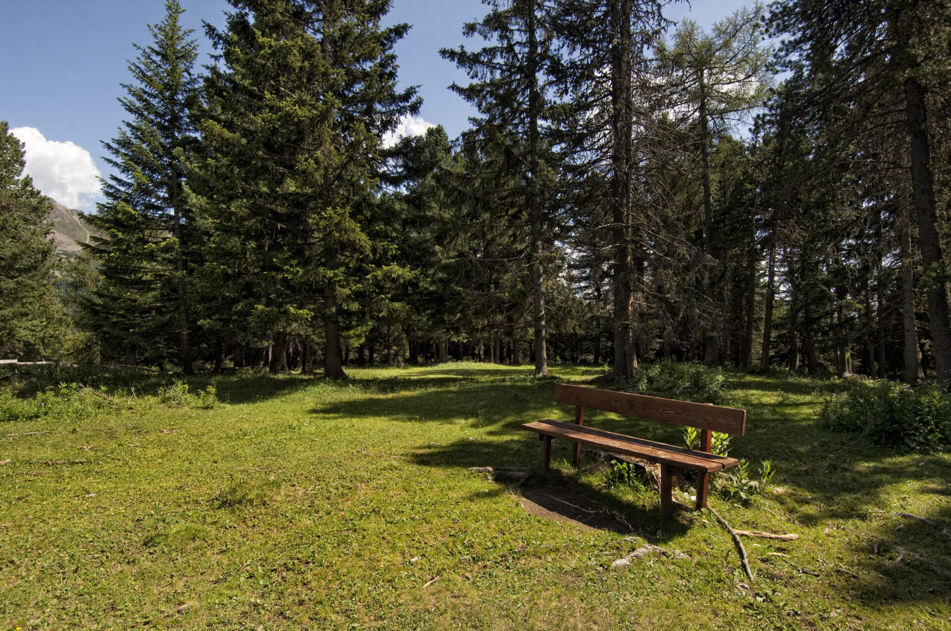 Malga Gurndin — foto 5